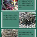 東莞橋頭鎮(zhèn)箱式變電站回收/母線槽收購/酬勞豐厚