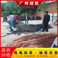 惠州箱式變電站拆除回收柴油發(fā)電機(jī)組收購(gòu)公司/步驟展示圖片