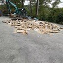 深圳龍崗區(qū)不合格庫存玩具銷毀報廢/飲料包裝盒銷毀單位