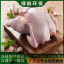 廣州南沙區(qū)到期凍品銷毀報(bào)廢-庫存化妝品銷毀中心