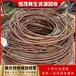 東莞橋頭鎮(zhèn)從事電纜回收舊物資,其他配電輸電設備,絕緣導線電纜回收