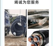 东莞望牛墩工程剩余电缆回收,其他高压电器,裸电线电缆回收