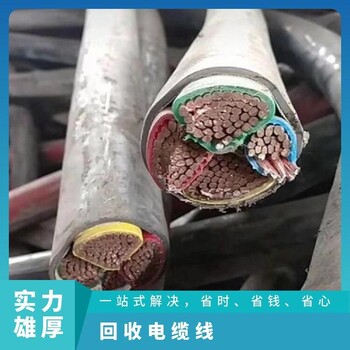 江門(mén)蓬江區電纜回收/電氣設備用電纜回收精選廠(chǎng)家