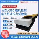 WAW-300微機(jī)控制臥式電子拉力試驗(yàn)機(jī)濟(jì)南信標(biāo)試驗(yàn)機(jī)