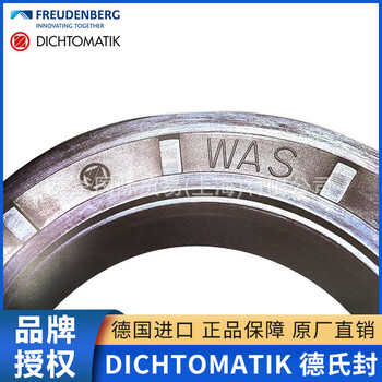 DICHTOMATIK德克邁特德氏封進口油封密封件單唇雙唇骨架鐵殼彈簧