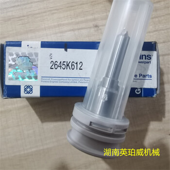 英國帕金斯perkins發(fā)動(dòng)機(jī)配件噴油嘴2645K612