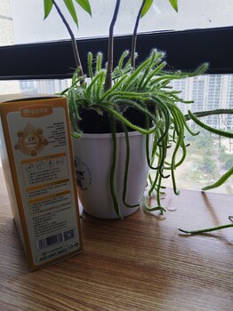 陜西圣泉乳業(yè)圣泉美爾羊奶粉有副作用嗎