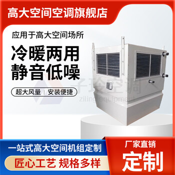 高大空間空調(diào)單元機(jī)組/高大空間采暖機(jī)組/冷暖兩用空調(diào)設(shè)備