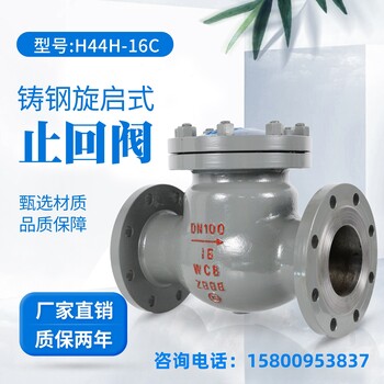 上海精工良工閥門H41H-16C鑄鋼不銹鋼升降式法蘭止回閥高溫單向閥