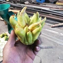 呈昊機(jī)械立式電動(dòng)佛手切片機(jī)多用途薯類瓜果切片機(jī)
