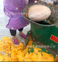 養(yǎng)殖戶蓮藕南瓜切片機家用電紅薯干加工設(shè)備切片均勻省人力