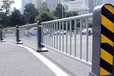 佛山市政道路護欄城市文化人車分流隔離欄綠化帶欄桿