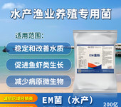 EM菌水产养殖饲料添加剂复合EM菌EM菌扩陪益昊EM菌代工厂家