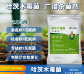 哈茨木霉菌微生物菌肥百亿含量百亿含量益昊生物OEM代工定制