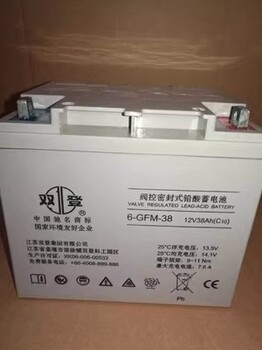 雙登蓄電池12v100ah