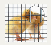 养殖家禽鸡鸭焊接铁丝网围栏
