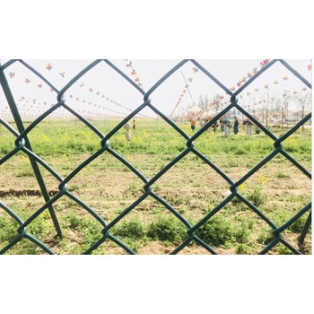 PVC浸塑菱形鐵絲網(wǎng)勾花網(wǎng)護(hù)欄