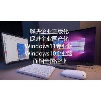 微软操作系统Windows11版企业版授权正版