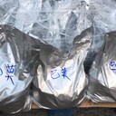 畢節(jié)鈷酸鋰鎳鈷錳三元材料回收