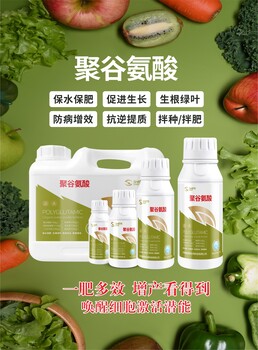 聚谷氨酸