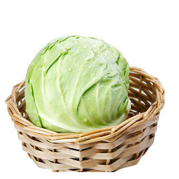 嘉興平湖配送蔬菜調(diào)價信息