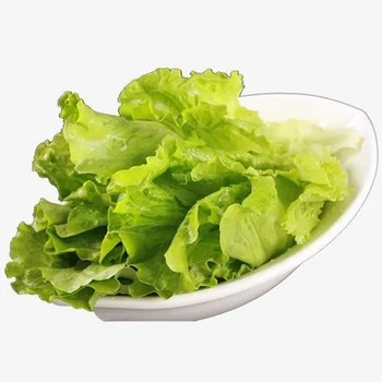 海寧市食堂蔬菜配送廠商