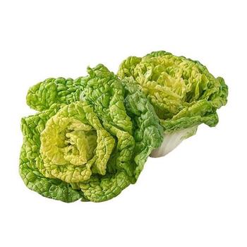 海寧市食堂蔬菜配送廠商