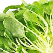 海鹽配送農(nóng)副產(chǎn)品銷售