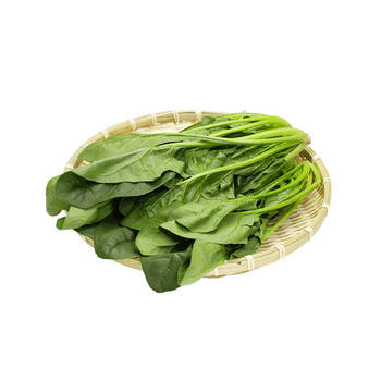 嘉興海鹽蔬菜配送批發商