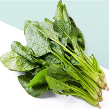 桐鄉公司食堂蔬菜配送廠家價格
