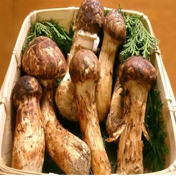 桐鄉公司食堂蔬菜配送廠家價格