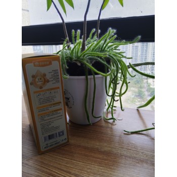 陜西圣泉乳業圣泉美爾羊奶粉的好處和功效