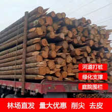三米杉木松木桩，河道治理防护桩