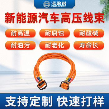 汽車(chē)高壓線束高壓動(dòng)力連接線束支持定制