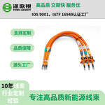 25507090平方新能源汽車高壓線束電池管理系統(tǒng)線束