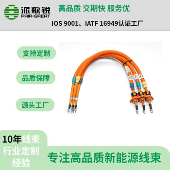 25507090平方新能源汽车高压线束电池管理系统线束