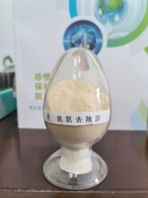 污水处理生物菌种硝化好氧细菌氨氮降解菌污水治理