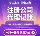 上海税务申报纳税公司记账报税多少钱一对一跟踪指导