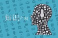 知識產(chǎn)權(quán)轉(zhuǎn)讓