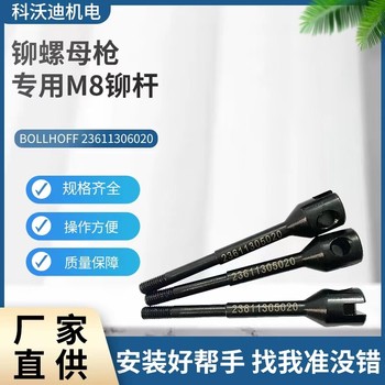 博尔豪夫P2007铆杆M3/M4/M5/M6/M8/M10现货供应23611306020