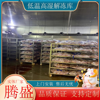 商用低溫高濕解凍庫肉類海產品化凍解凍機牛羊肉雞鴨緩化設備