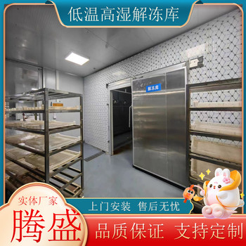 商用低溫高濕解凍庫肉類海產品化凍解凍機牛羊肉雞鴨緩化設備