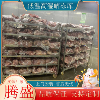 商用低溫高濕解凍庫肉類海產品化凍解凍機牛羊肉雞鴨緩化設備
