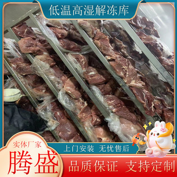 商用低溫高濕解凍庫肉類海產品化凍解凍機牛羊肉雞鴨緩化設備
