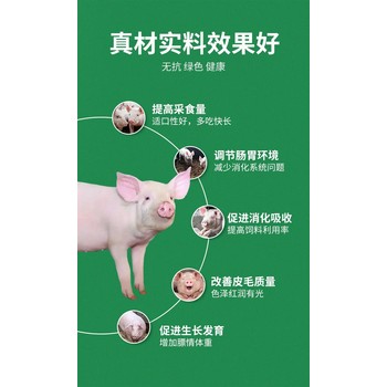 猪预混料：营养与效益的结合