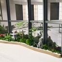 辦公樓植物造景，室內綠植造景設計，公司角落美化，微景觀