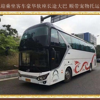 推薦：呼和浩特到膠州豪華臥鋪大巴