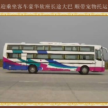 哈爾濱到東營客運(yùn)客車2024查看
