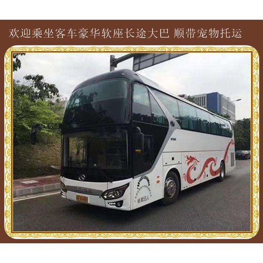 客运安图到无棣乘客运专线客车