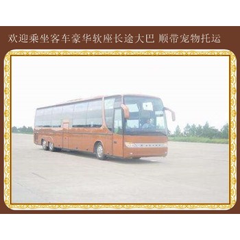 承德到溫州臥鋪汽車